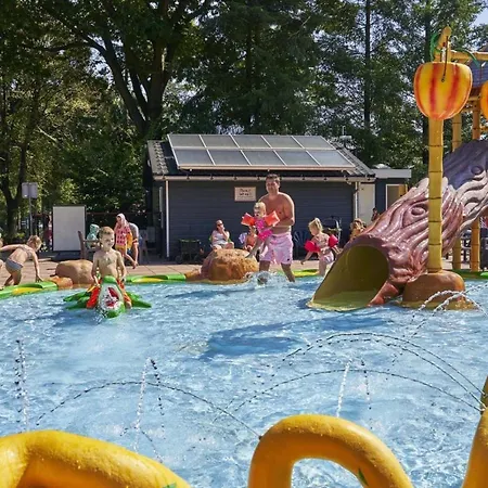 Forest Family 6 Persoons Op 5 Sterren Park Alpehytte Beekbergen