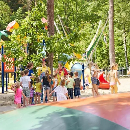 Domek alpejski Forest Family 6 Persoons Op 5 Sterren Park Beekbergen