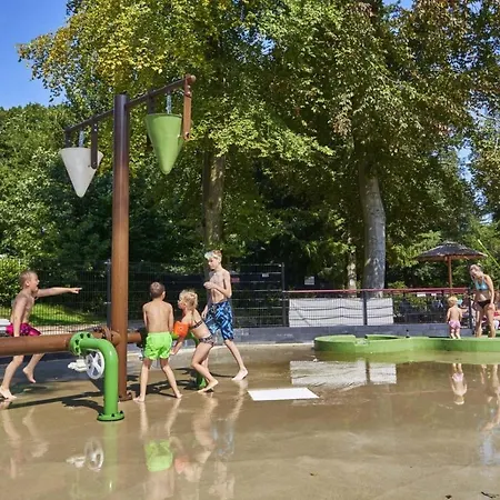 Domek alpejski Forest Family 6 Persoons Op 5 Sterren Park