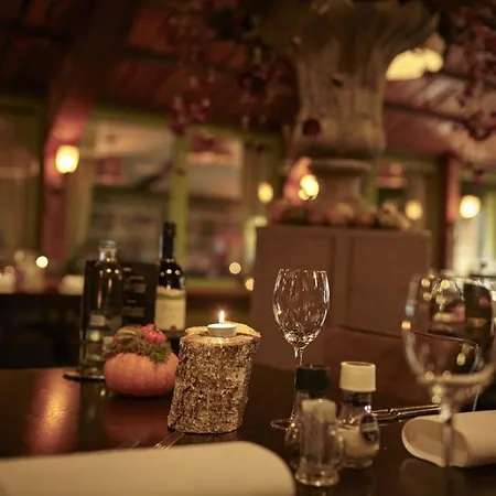 Forest Family 6 Persoons Op 5 Sterren Park Alpehytte