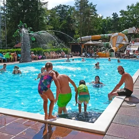 Forest Family 6 Persoons Op 5 Sterren Park