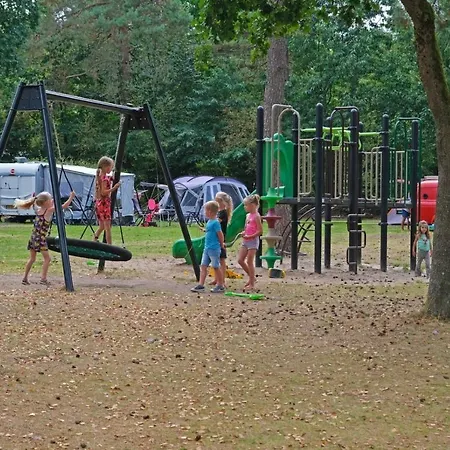 Forest Family 6 Persoons Op 5 Sterren Park Chalet *