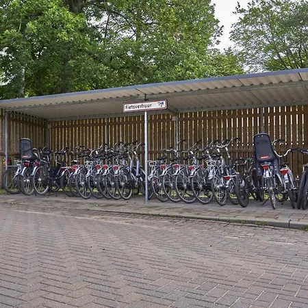 Forest Family 6 Persoons Op 5 Sterren Park Beekbergen