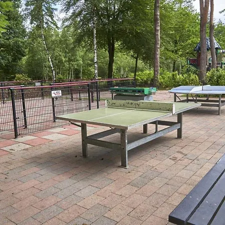 Forest Family 6 Persoons Op 5 Sterren Park 木屋 贝克贝亨