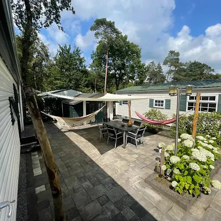 Domek alpejski Forest Family 6 Persoons Op 5 Sterren Park Beekbergen
