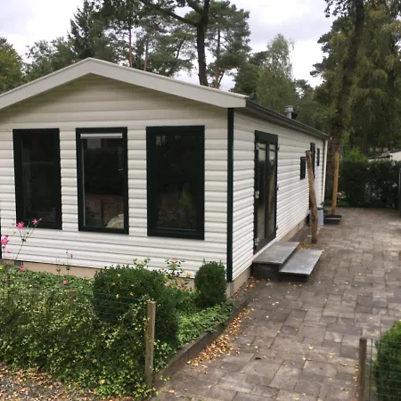 Domek alpejski Forest Family 6 Persoons Op 5 Sterren Park Beekbergen