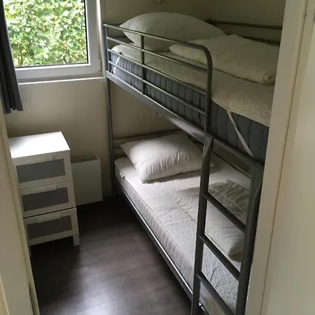 Forest Family 6 Persoons Op 5 Sterren Park Alpehytte Beekbergen