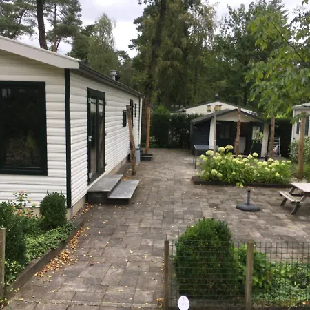 Domek alpejski Forest Family 6 Persoons Op 5 Sterren Park *