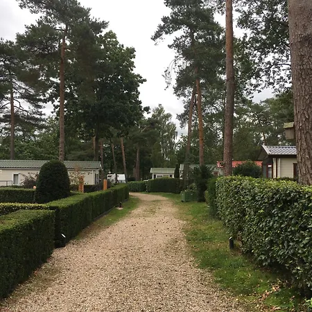 Forest Family 6 Persoons Op 5 Sterren Park Beekbergen