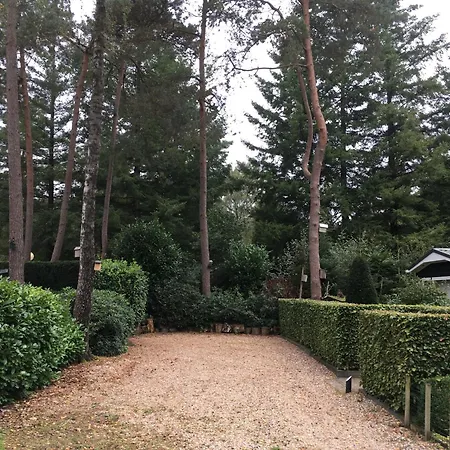 Forest Family 6 Persoons Op 5 Sterren Park Domek alpejski Beekbergen