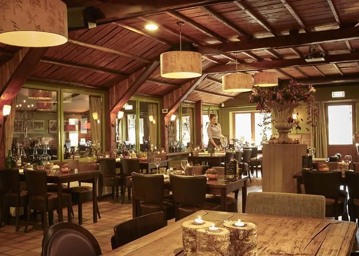 Dağ evi Forest Family 6 Persoons Op 5 Sterren Park Beekbergen