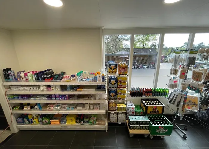 Forest Family 6 Persoons Op 5 Sterren Park Dağ evi