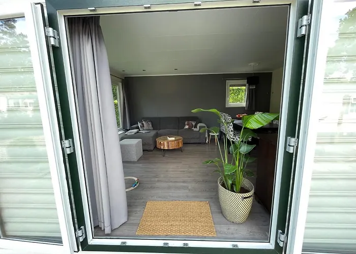 Forest Family 6 Persoons Op 5 Sterren Park