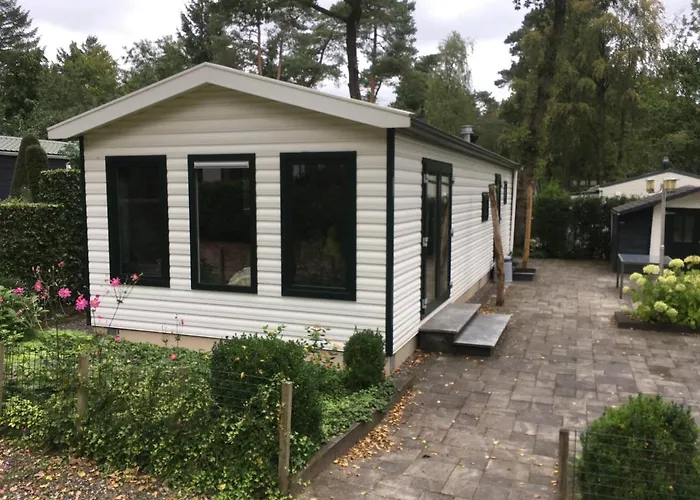Chalet Forest Family 6 Persoons Op 5 Sterren Park Beekbergen