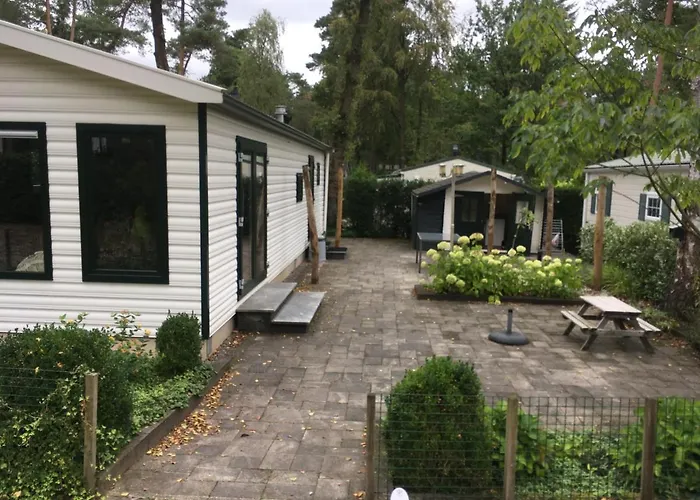 Chalet Forest Family 6 Persoons Op 5 Sterren Park *