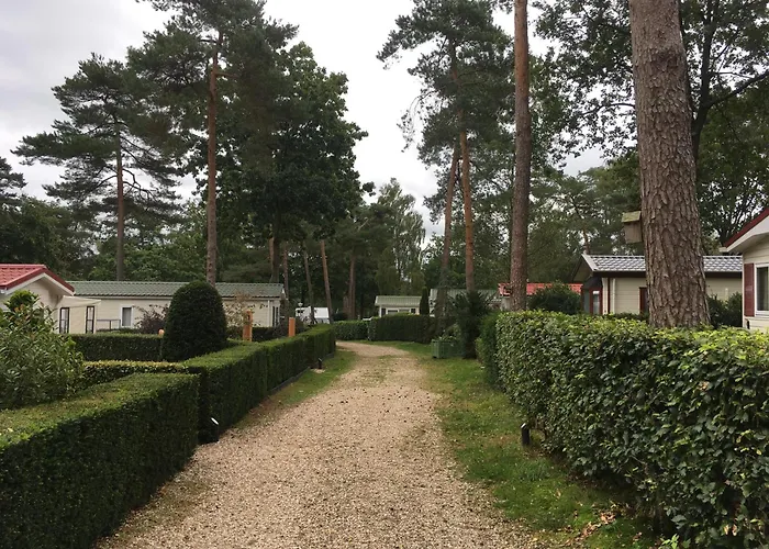 Forest Family 6 Persoons Op 5 Sterren Park Beekbergen