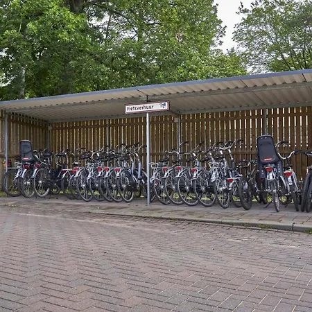 Forest Family 6 Persoons Op 5 Sterren Park Beekbergen