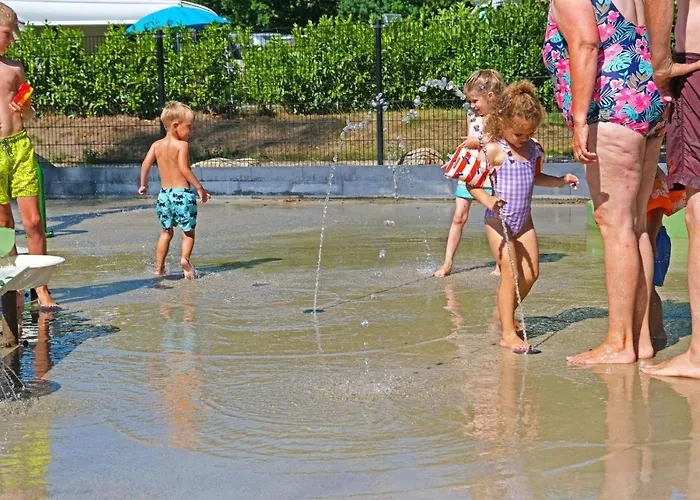 Forest Family 6 Persoons Op 5 Sterren Park *