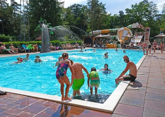 Forest Family 6 Persoons Op 5 Sterren Park