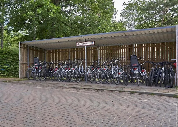 Forest Family 6 Persoons Op 5 Sterren Park بيكبيرخين