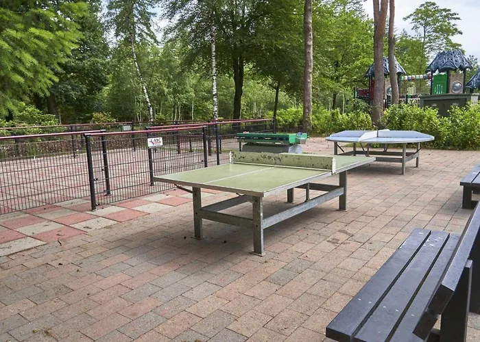 Forest Family 6 Persoons Op 5 Sterren Park شاليه بيكبيرخين