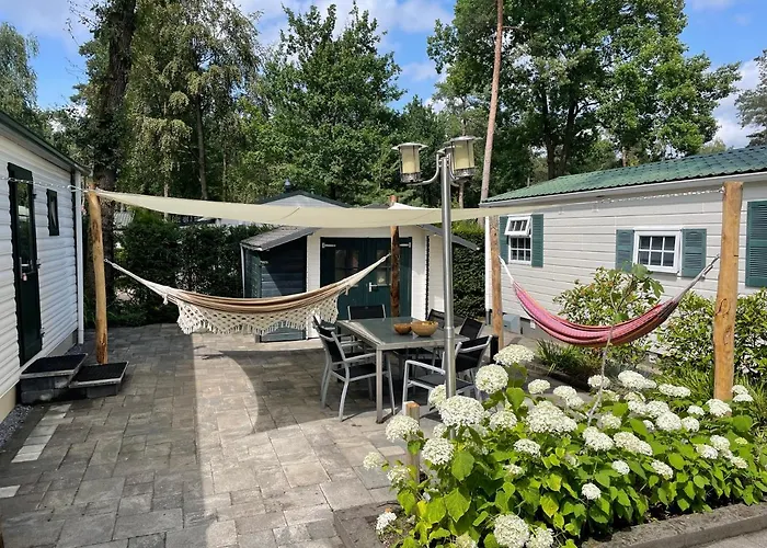 Forest Family 6 Persoons Op 5 Sterren Park