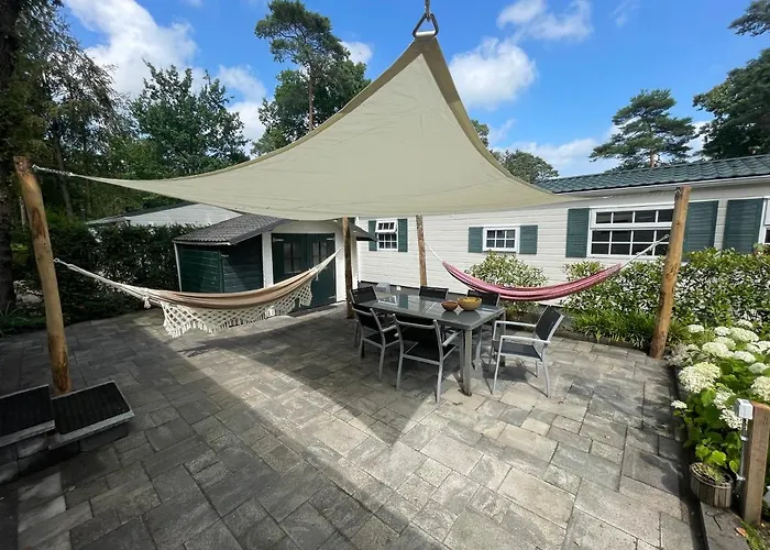 Forest Family 6 Persoons Op 5 Sterren Park