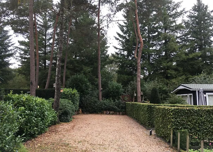 Forest Family 6 Persoons Op 5 Sterren Park شاليه بيكبيرخين